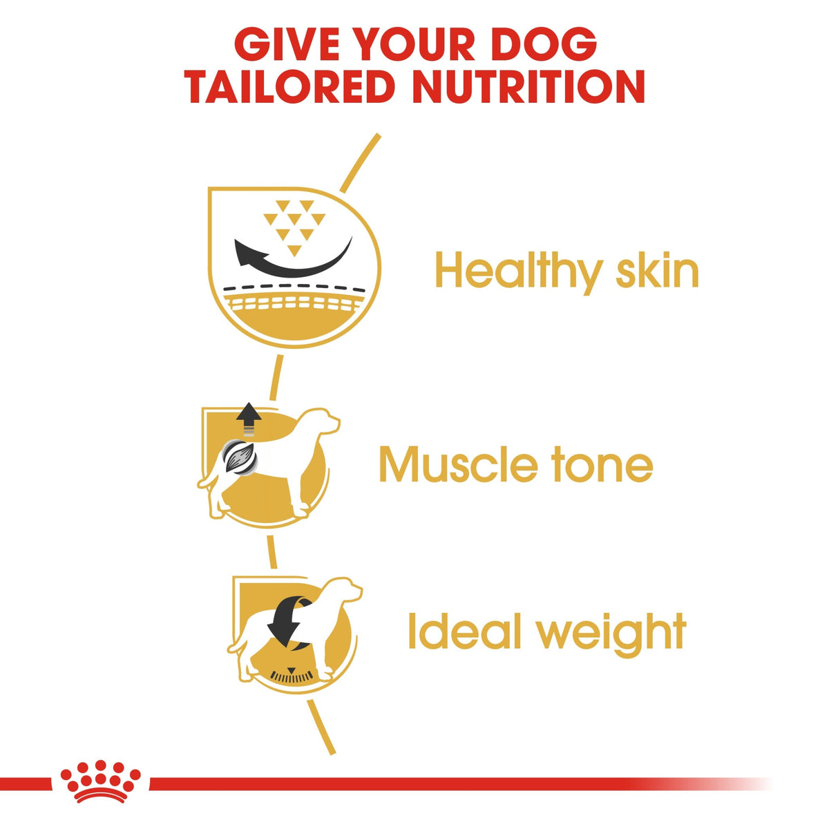 Breed Health Nutrition Pug Adult 1.5 kg