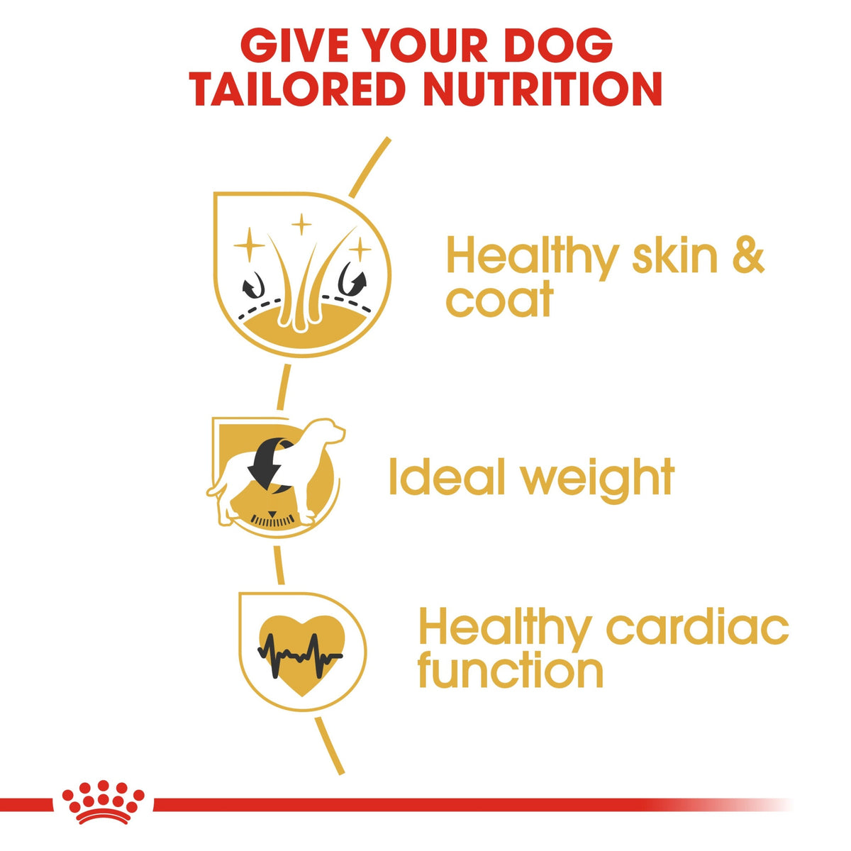 Breed Health Nutrition Cocker Adult 3 kg