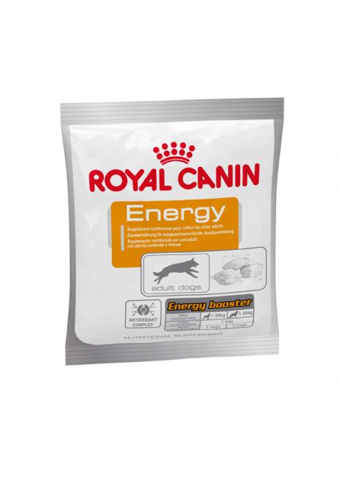 Royal Canin Nutritional Supplement ENERGY (box of 30 sachets)