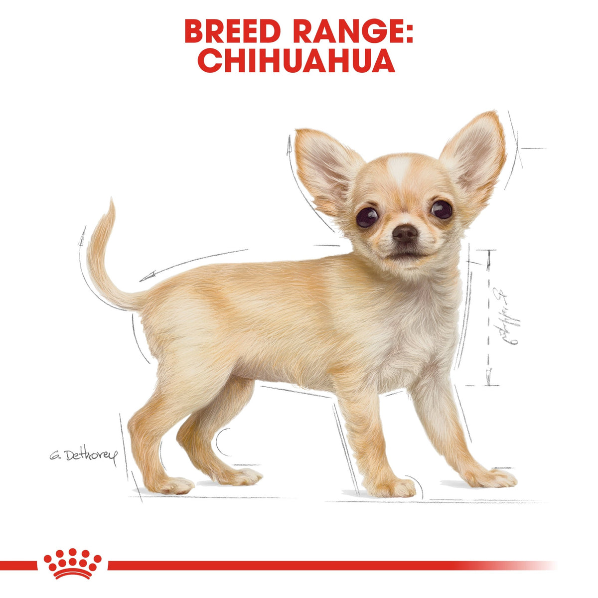 Breed Health Nutrition Chihuahua Puppy 1.5 kg