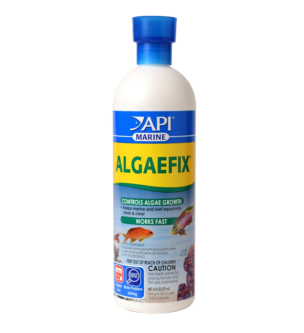 API Algaefix Marine 16 oz