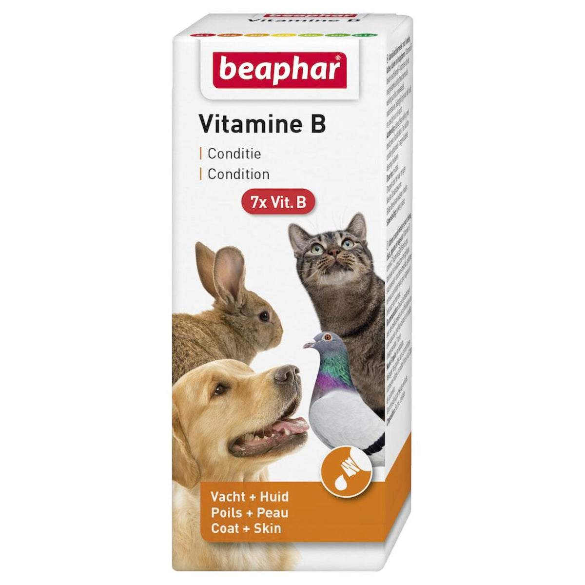 Vitamin B Complex 50 ml