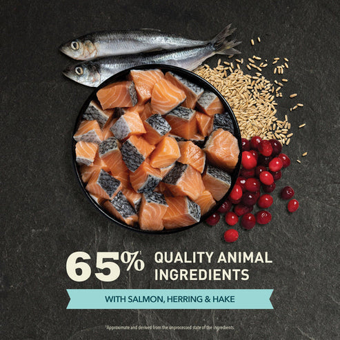 Acana Bountiful Catch Salmon with Herring Adult Dry Cat Food - 340G