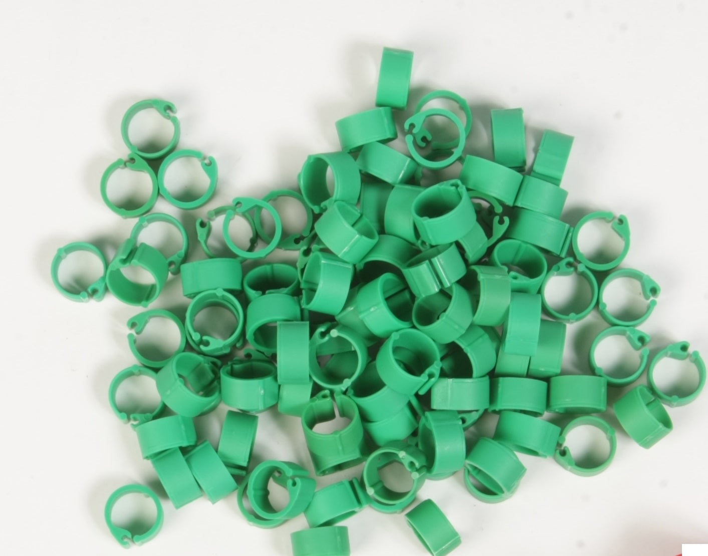 Pigeon Rings 8mm - pack of 100 pcs