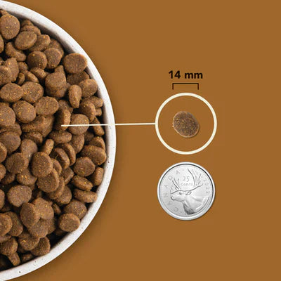 Acana Highest Protein Rachlands Recipe Dry Dog Food - 2KG