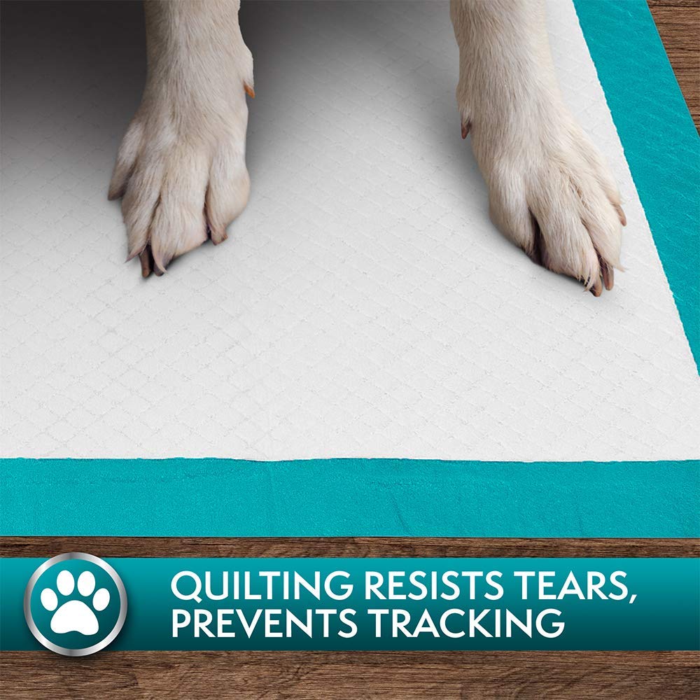 Simple Solution Premium Dog and Puppy Training Pads - Pack of 100 (Slightly damaged Master Carton)