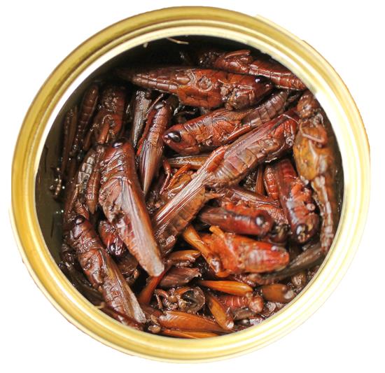 Grasshoppers 1.2oz 35g