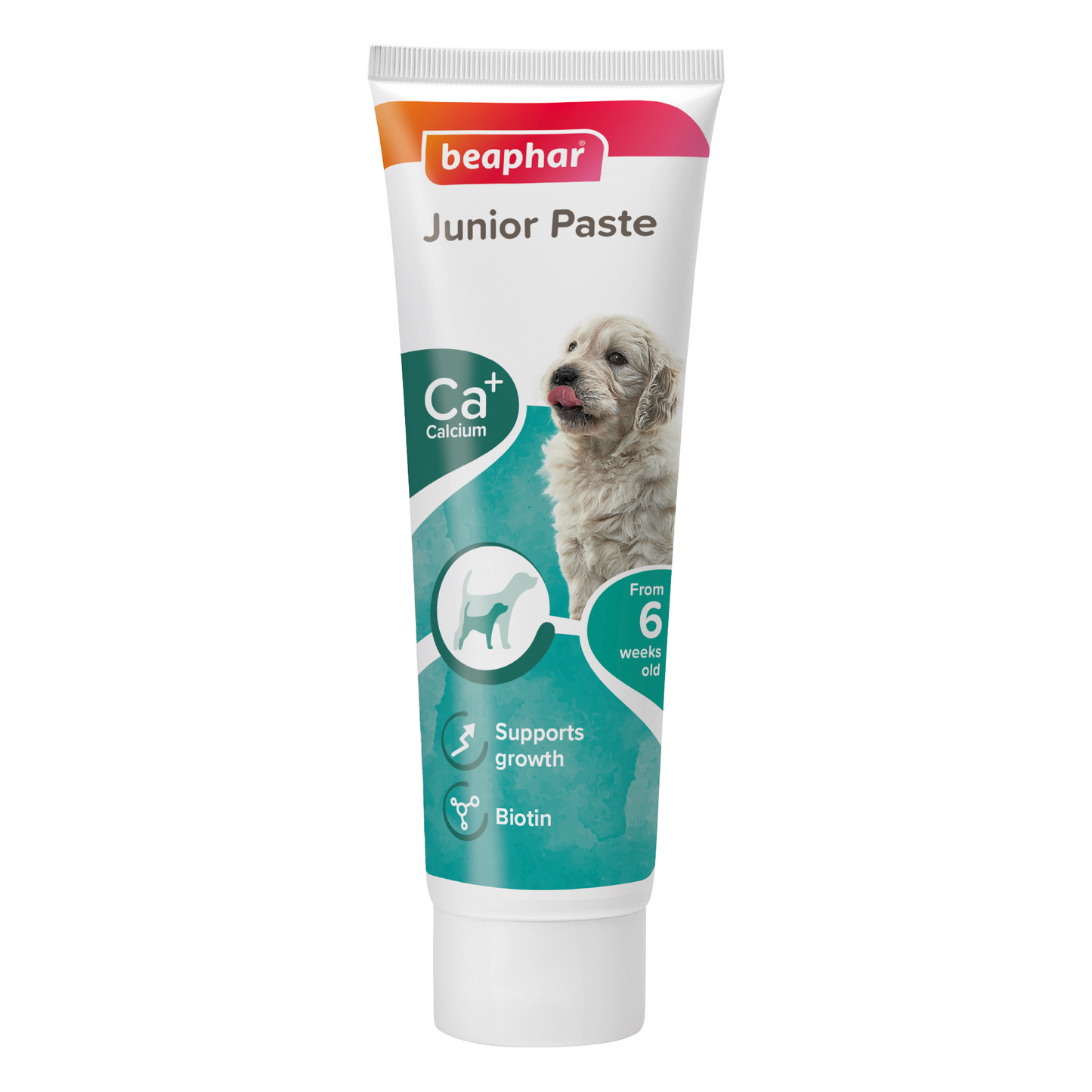 Junior Paste for Dogs 100 g