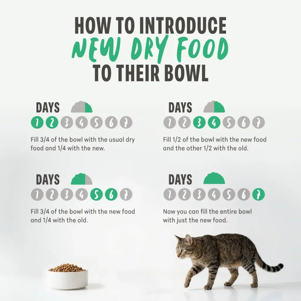 Schesir Monoprotein Kitten & Mother Dry Cat Food – Fresh Chicken-10kg