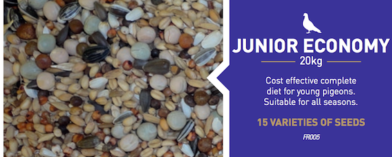 Junior Economy 20 kg