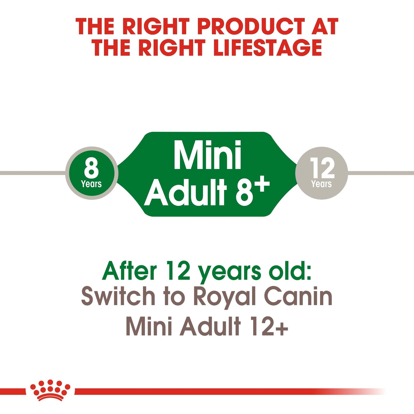 Royal Canin Size Health Nutrition Mini Adult 8+ 8 KG