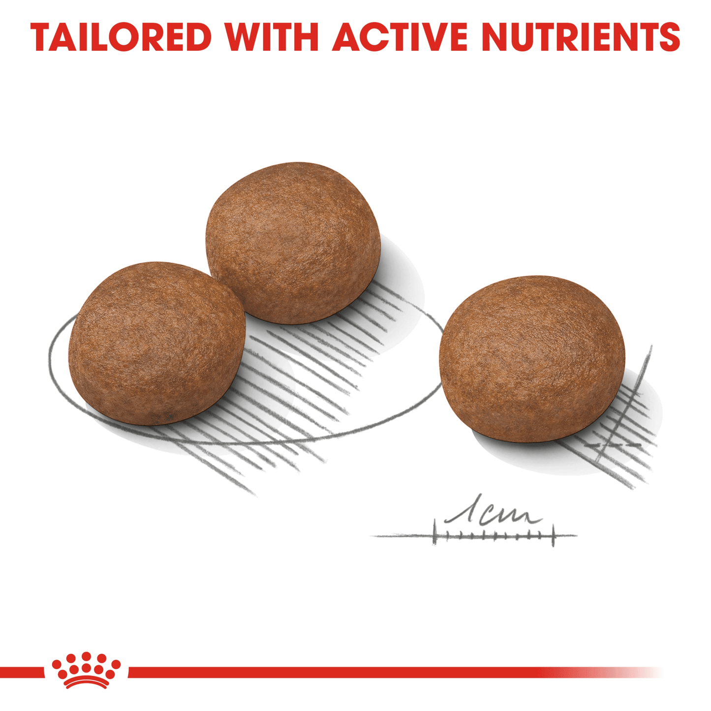 Royal Canin Canine Care Nutrition Medium Digestive Care 12 kg