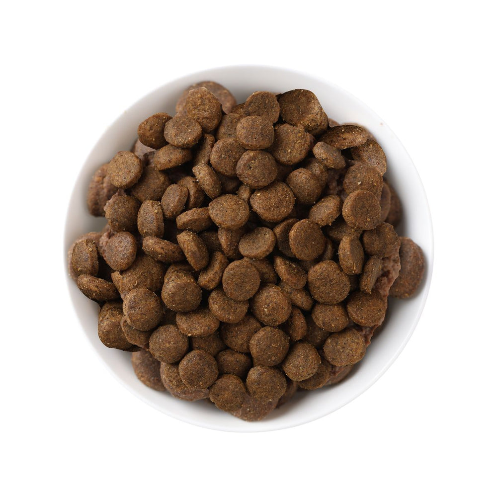 Pet Food & Supplies UAE | 60-Minute Delivery | Crazy Pets – Crazy Pets