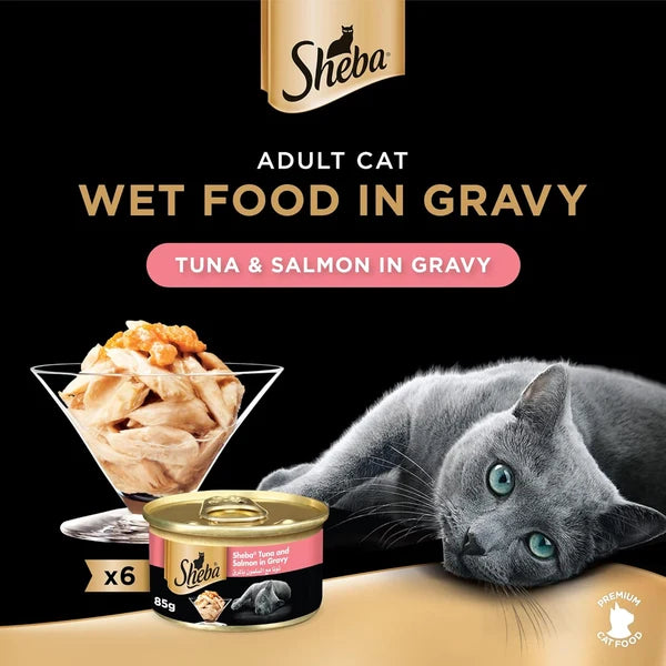 Sheba tuna and salmon in gravy wet food Box