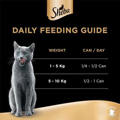 Sheba tuna and salmon in gravy wet food Box