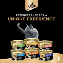 Sheba tuna and salmon in gravy wet food Box