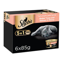 Sheba tuna and salmon in gravy wet food Box