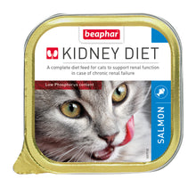 Wet Food - Kidney/Renal Diet Salmon 16 x 100 g