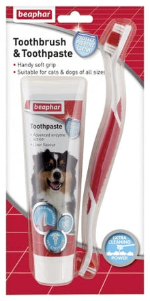 Toothbrush & Toothpaste Combipack