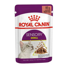 Royal Canin Feline Health Nutrition Sensory Smell Gravy Cat Wet Food - 85g