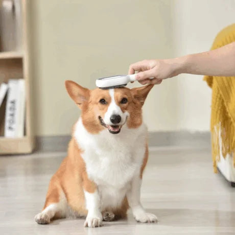 PETBROO TIDY HAIR REMOVING COMB