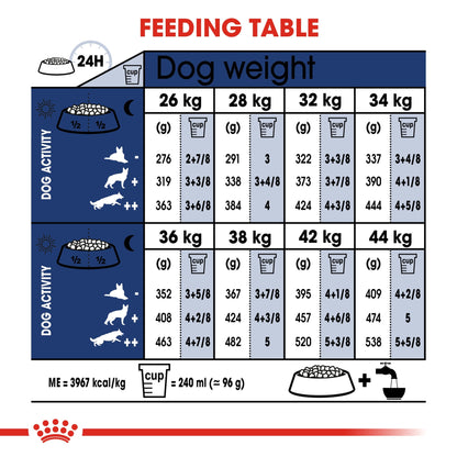 Size Health Nutrition Maxi Adult - ROYAL CANIN®