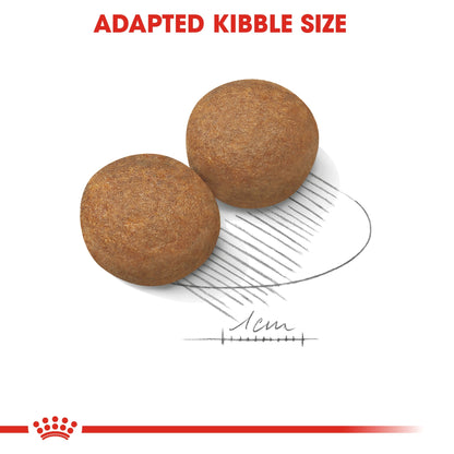 Size Health Nutrition Maxi Adult - ROYAL CANIN®
