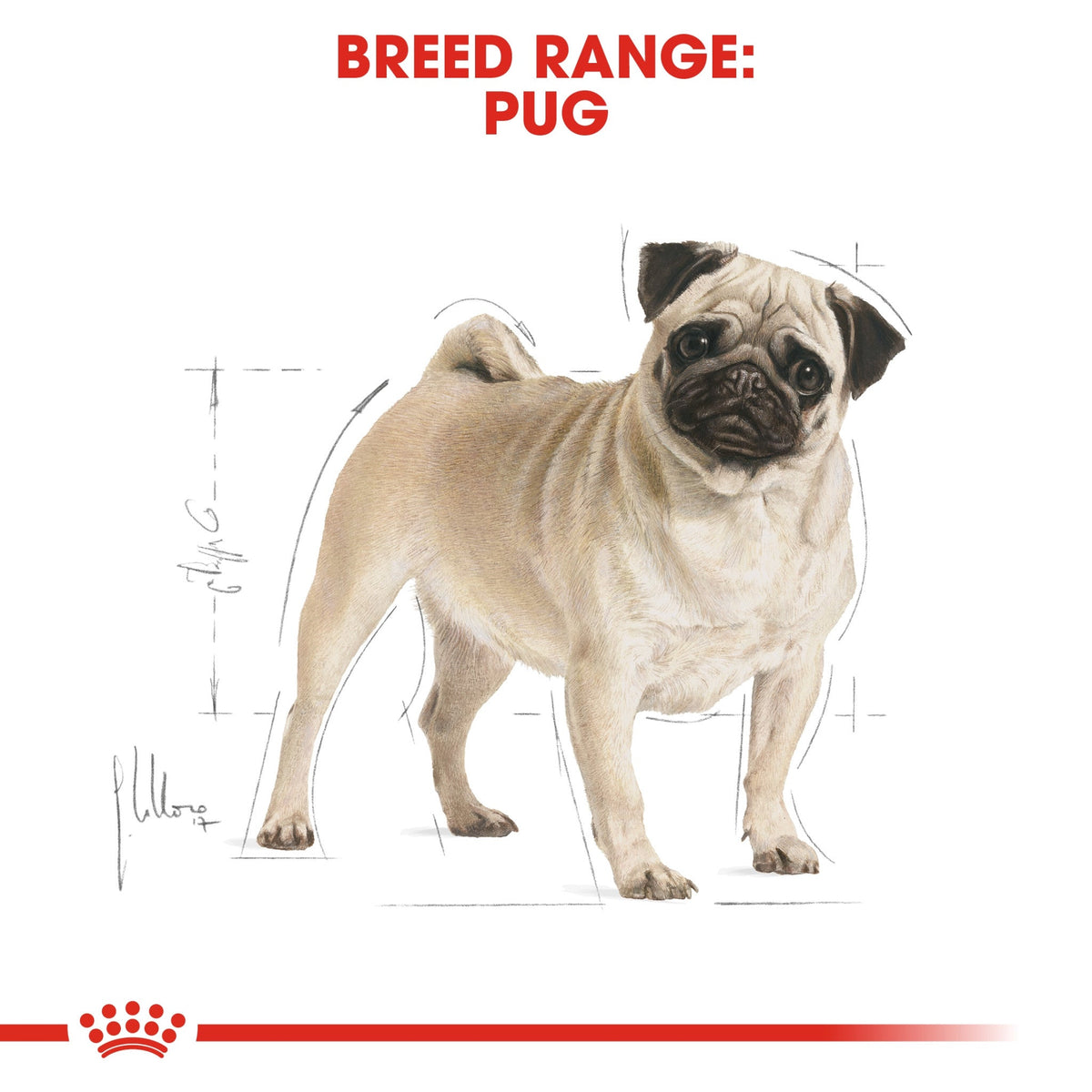 Breed Health Nutrition Pug Adult 1.5 kg