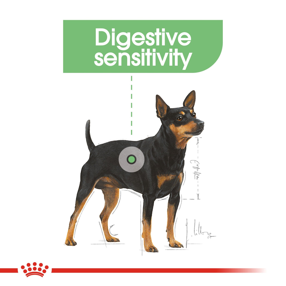 Canine Care Nutrition Mini Digestive Care 3 kg