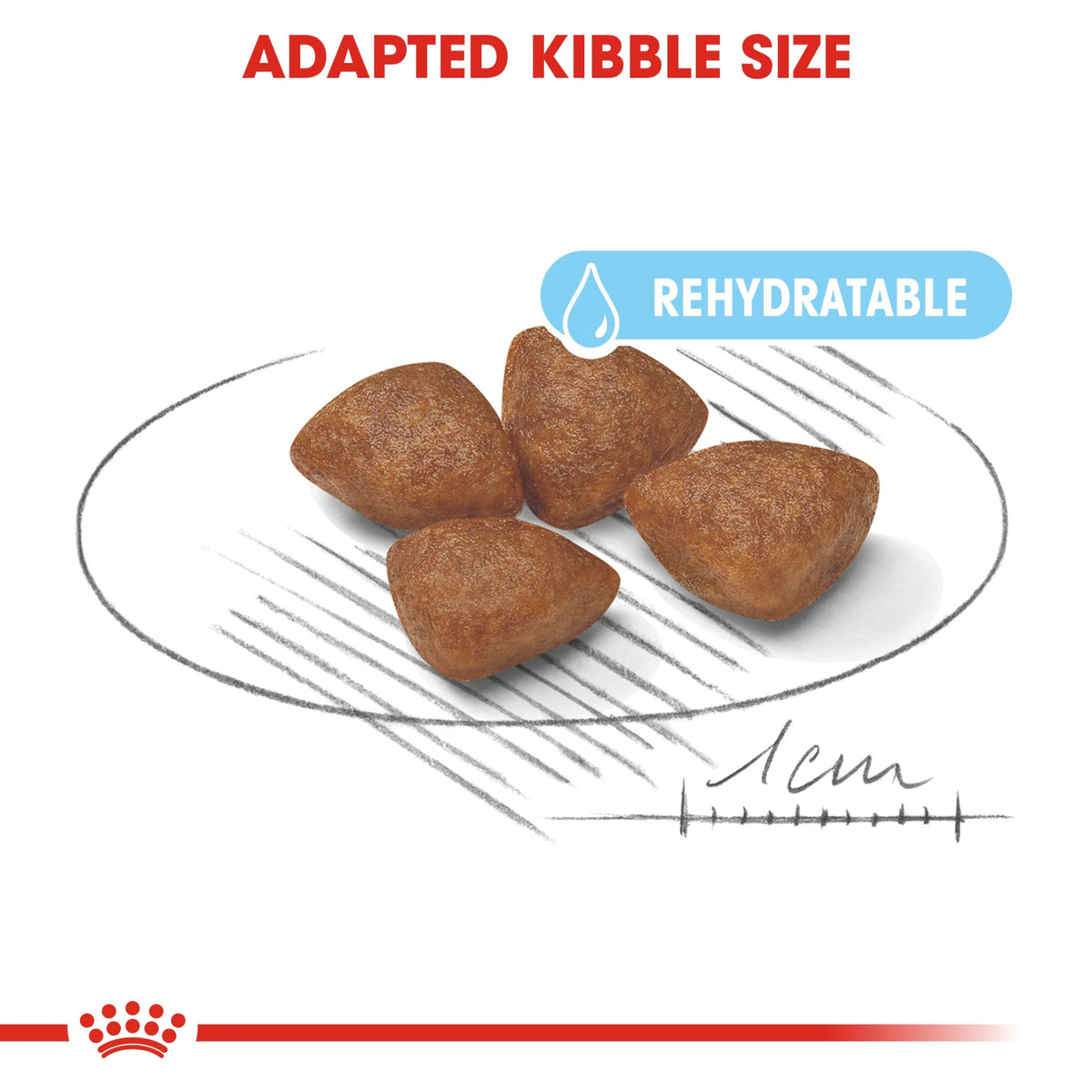 ROYAL CANIN® - Size Health Nutrition Mini Starter 1 kg