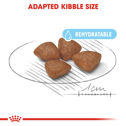 ROYAL CANIN® - Size Health Nutrition Mini Starter 1 kg