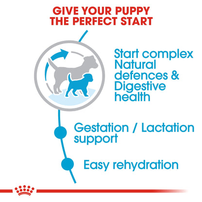 ROYAL CANIN® - Size Health Nutrition Mini Starter 1 kg