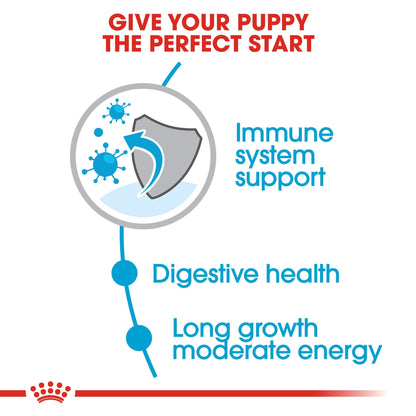 Size Health Nutrition Maxi Puppy - ROYAL CANIN®