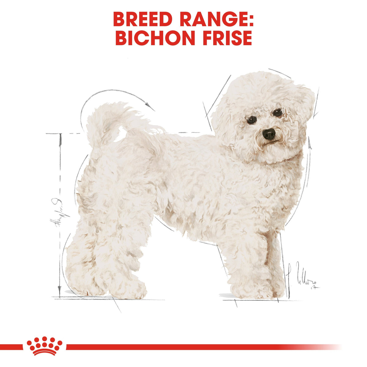 Breed Health Nutrition Bichon Frise Adult 1.5 kg