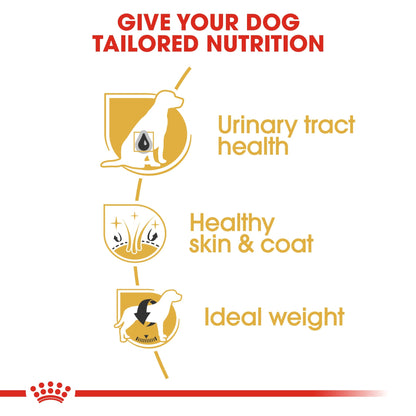 Breed Health Nutrition Bichon Frise Adult 1.5 kg