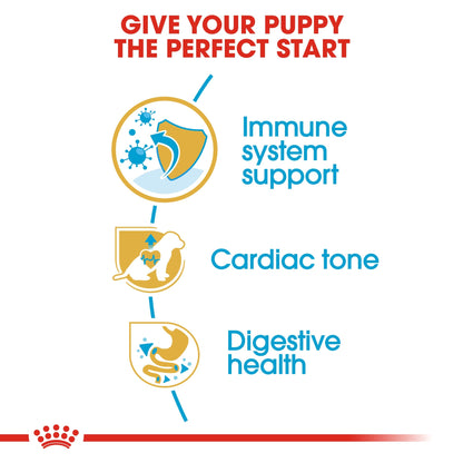 Breed Health Nutrition Cavalier King Charles Puppy 1.5 kg