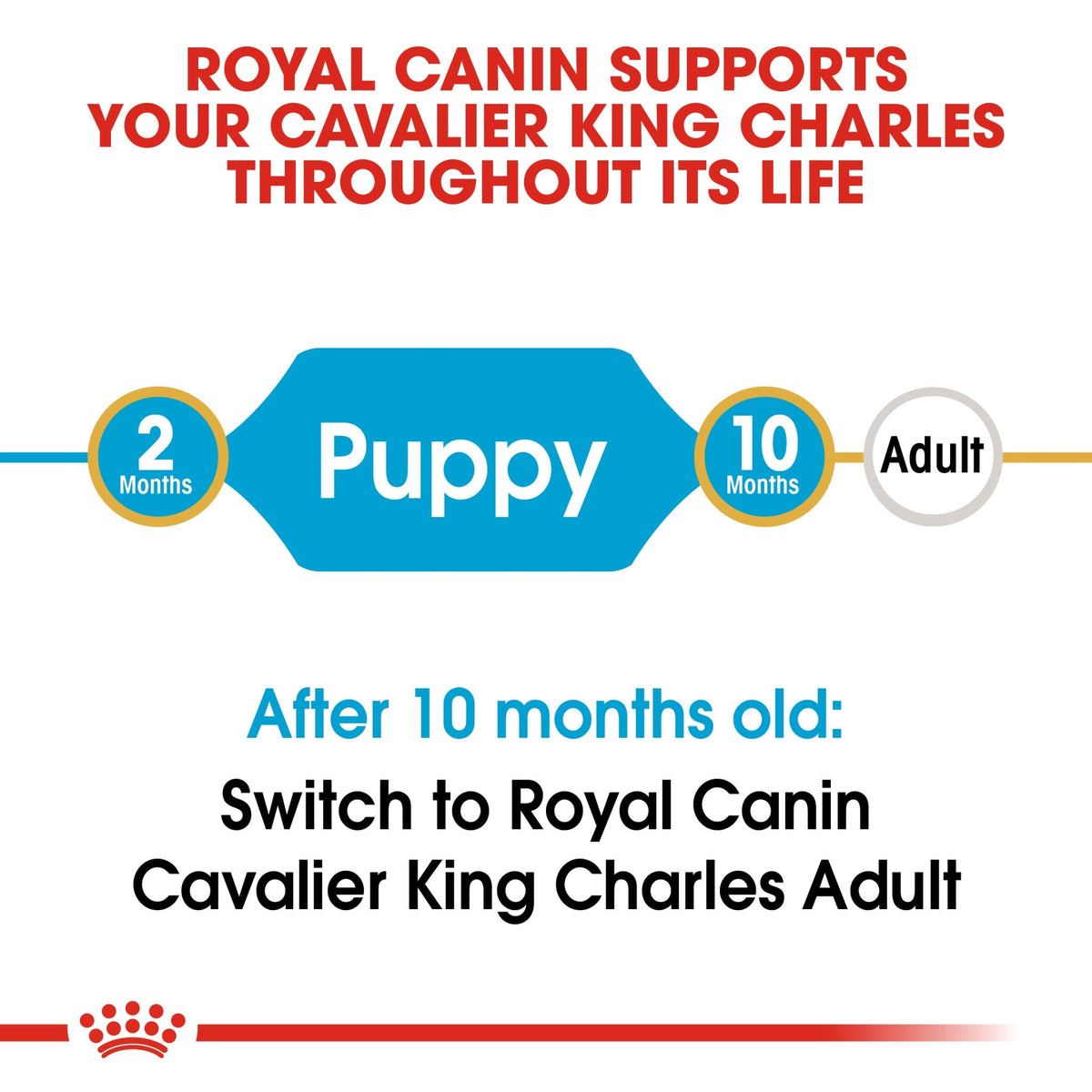 Breed Health Nutrition Cavalier King Charles Puppy 1.5 kg