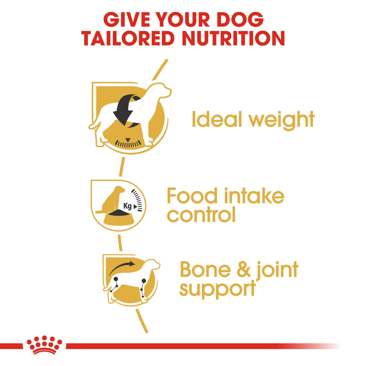 Breed Health Nutrition Beagle Adult 3 kg