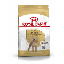 Breed Health Nutrition Poodle Adult 1.5 kg