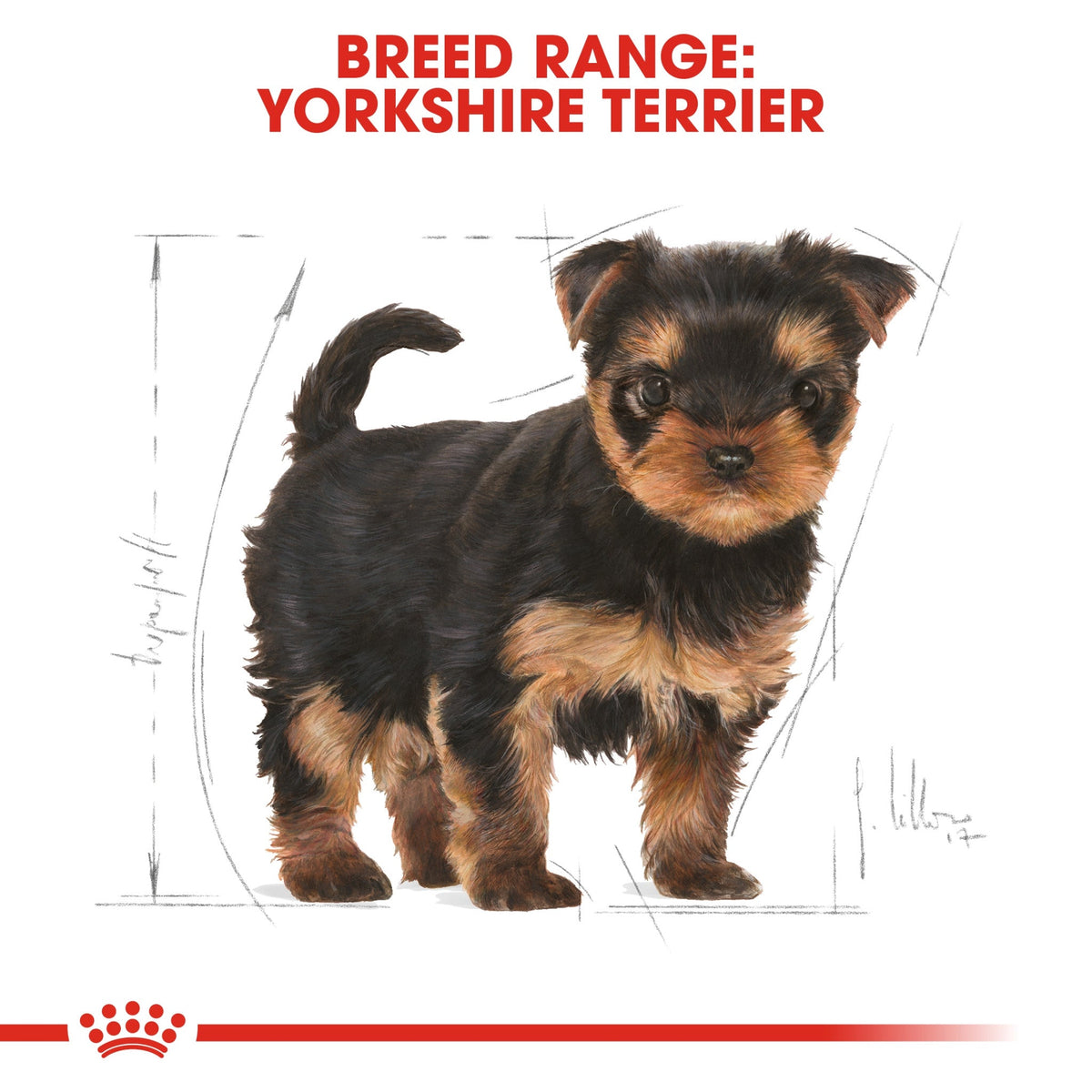 Breed Health Nutrition Yorkshire Puppy 1.5 kg