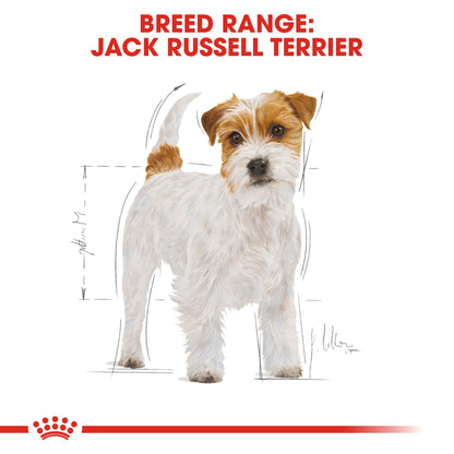 Breed Health Nutrition Jack Russell Adult 1.5 kg