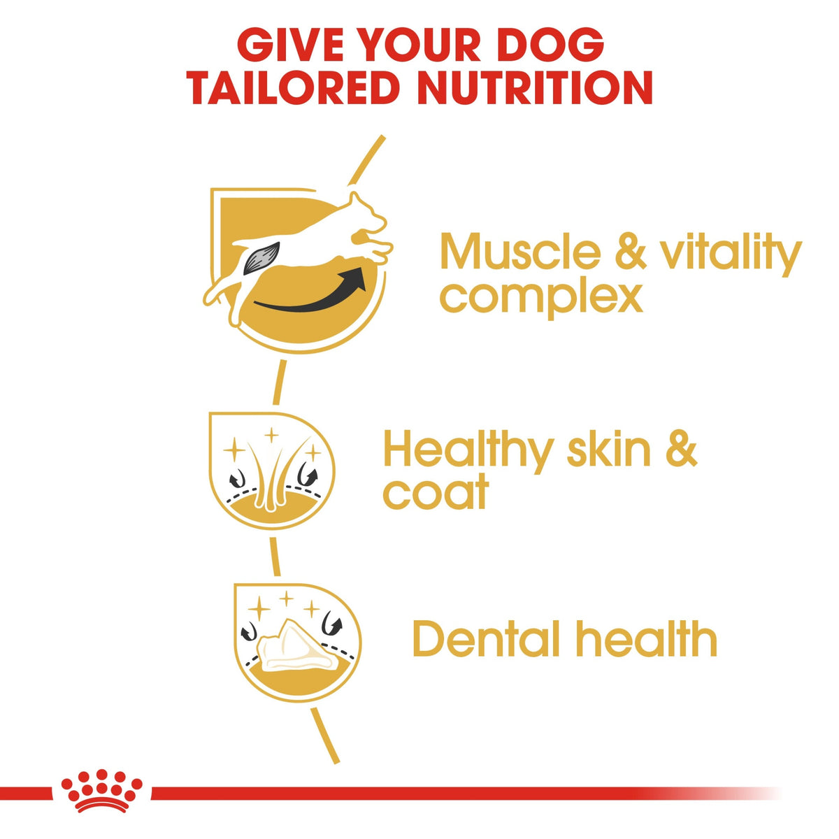 Breed Health Nutrition Jack Russell Adult 1.5 kg