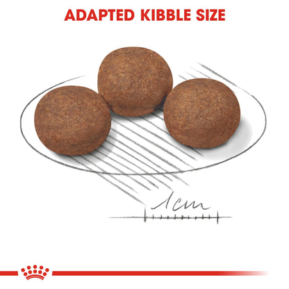 Size Health Nutrition Medium Puppy