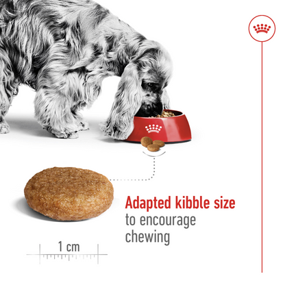 Size Health Nutrition Medium Adult