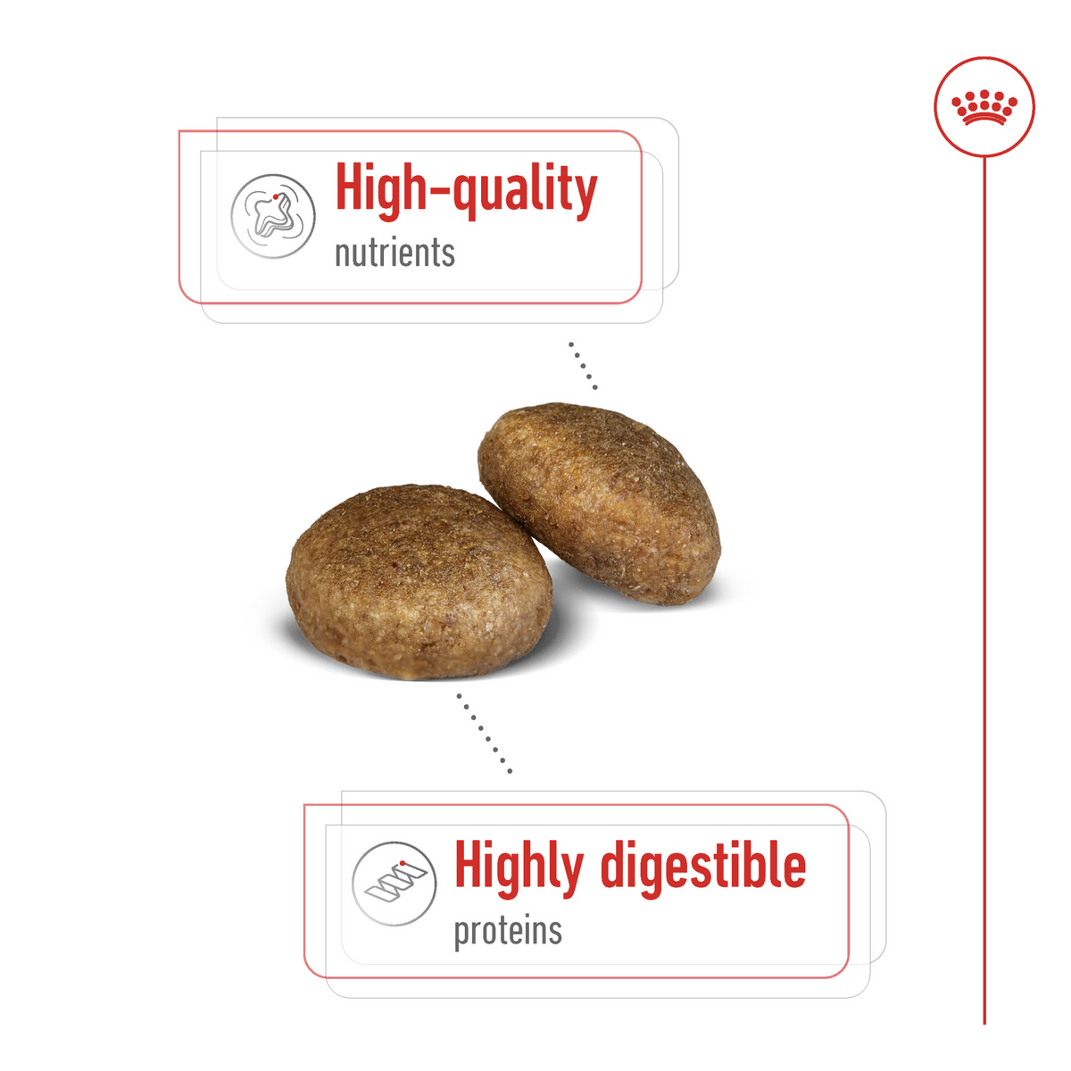 Size Health Nutrition Maxi Adult - ROYAL CANIN®