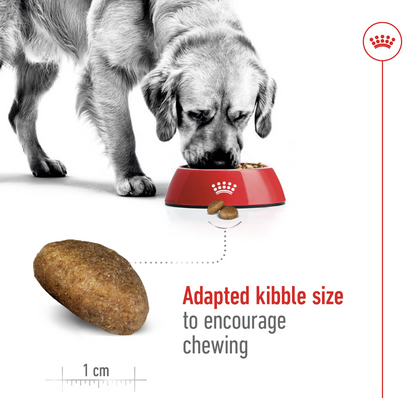 Size Health Nutrition Maxi Adult - ROYAL CANIN®