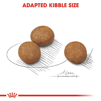 Size Health Nutrition Maxi Puppy - ROYAL CANIN®