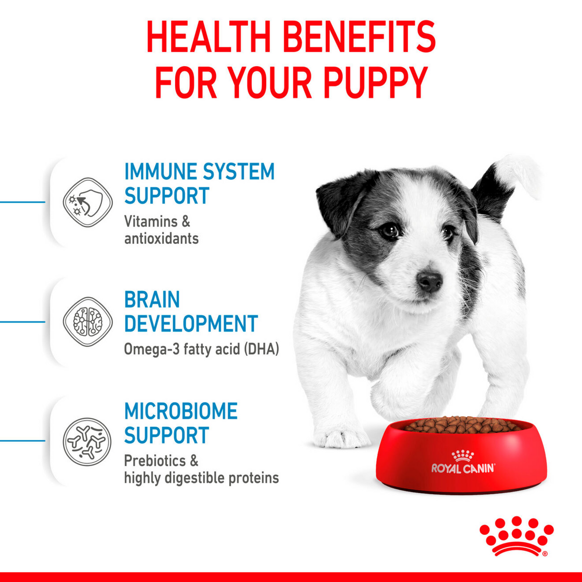 ROYAL CANIN® - Size Health Nutrition Mini Puppy