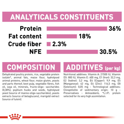 Feline Health Nutrition Kitten - Royal Canin