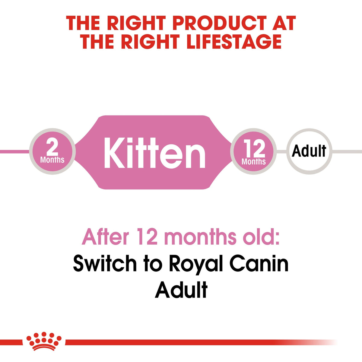 Feline Health Nutrition Kitten - Royal Canin